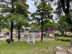 -松山湖梦幻百花洲