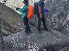 -北京凤凰岭