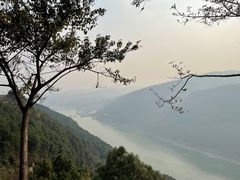 -铁山坪森林公园