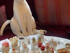 -Salon de Ville浦江汇(上海外滩华尔道夫酒店店)