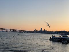 -星海湾跨海大桥