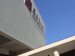 -岭南美术馆