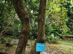 -揭东万竹园旅游景区