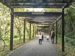 -九龙潭景区