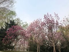 -北极寺公园