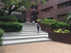 -香港大学