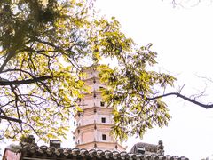 -白塔山公园