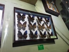 -中国科学院西双版纳热带植物园