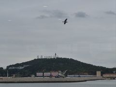 -长岛南北长山旅游景区