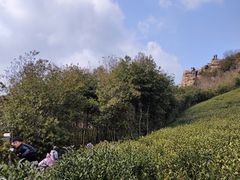 -达蓬山旅游度假区