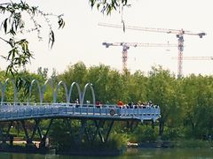 -大兴滨河森林公园