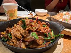-九毛九西北菜(大东海店)