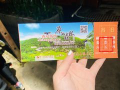 -西双版纳原始森林公园
