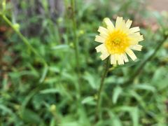-商洛老君山旅游风景区