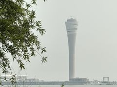 -上海吴淞炮台湾国家湿地公园