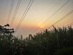 -小南山公园