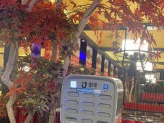 -70年代·江西乡下菜(松岗店)