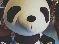 -熊猫屋(宽窄巷子景区店)