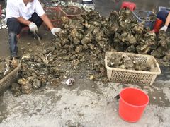 -蚝专家(北滘店)