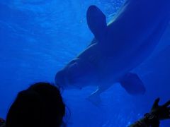 -多彩贵州城极地海洋世界