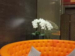 -上海大宁福朋喜来登酒店大堂吧(共和新路店)