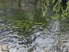 -水磨沟公园