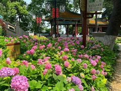 -阅江楼风景区