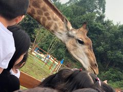-黄龙溪欢乐田园