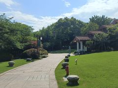 -中国茶叶博物馆(双峰馆区)