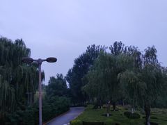 -西安浐灞国家湿地公园