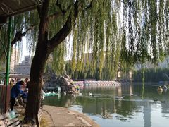 -团结湖公园