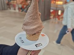 -野人先生现做冰淇淋(北京环宇荟店)
