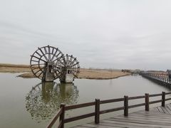 -宁波杭州湾国家湿地公园
