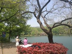 -紫霞湖公园