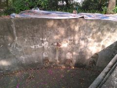 -蟹山公园