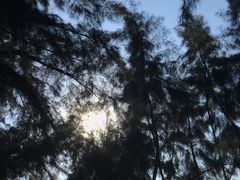 -马銮湾景区