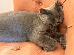 -Me Coffee下午茶艺术空间