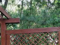 -大兴滨河森林公园