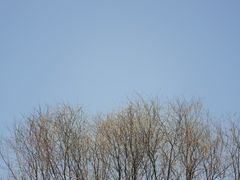 -蜀冈西峰生态公园