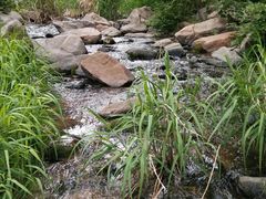 -碓臼峪自然风景区