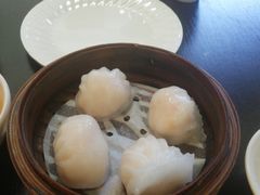 招牌虾皇饺-添运来(茶园奥园广场店)