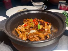 -凤凰湘语(浦东旗舰店)