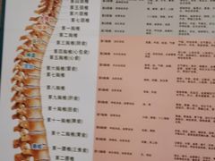 -上康中医脊椎理疗馆