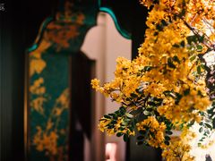 -金链花·泰国餐厅(国贸店)