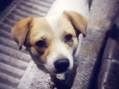 -烤肉季饭庄