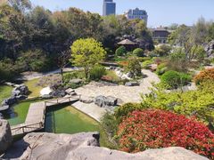 -上海吴淞炮台湾国家湿地公园