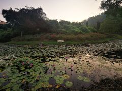 -北京师范大学(珠海校区)