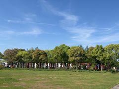 -春花秋色城市公园