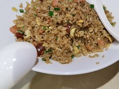 -杨氏青龙虾·羊蝎子(珠江路店)