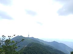 -梧桐山风景名胜区